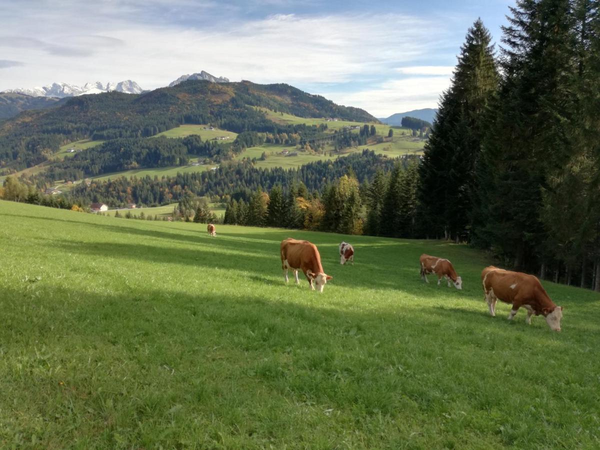 Séjour à la ferme Lammerauhof